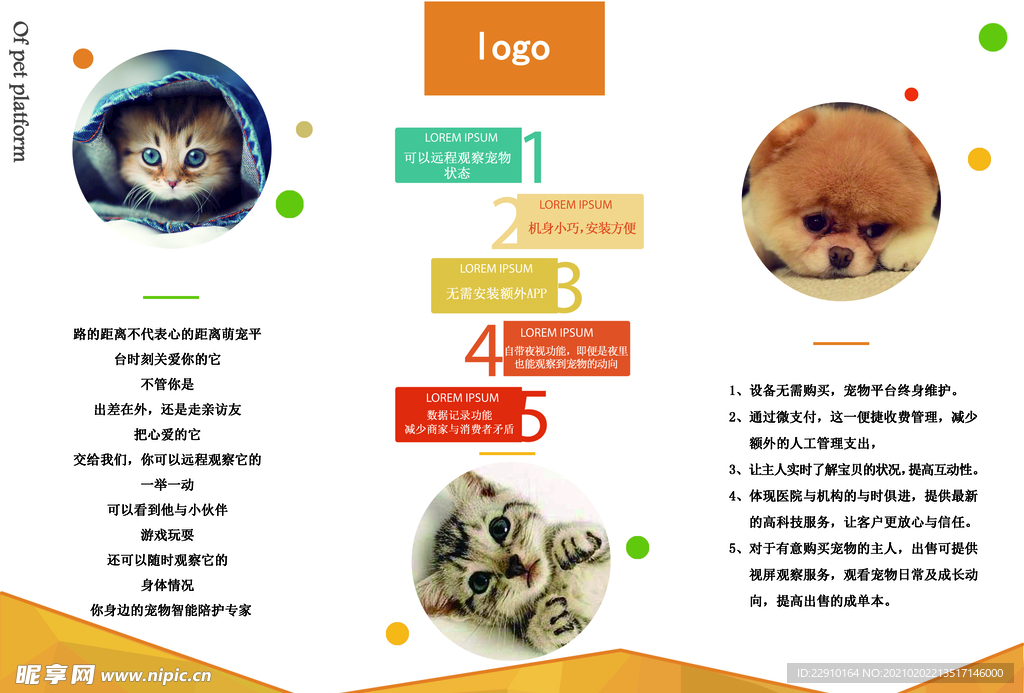 宠物托管三折页