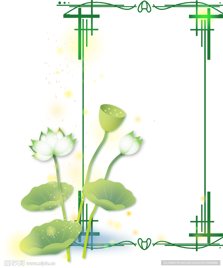 荷花