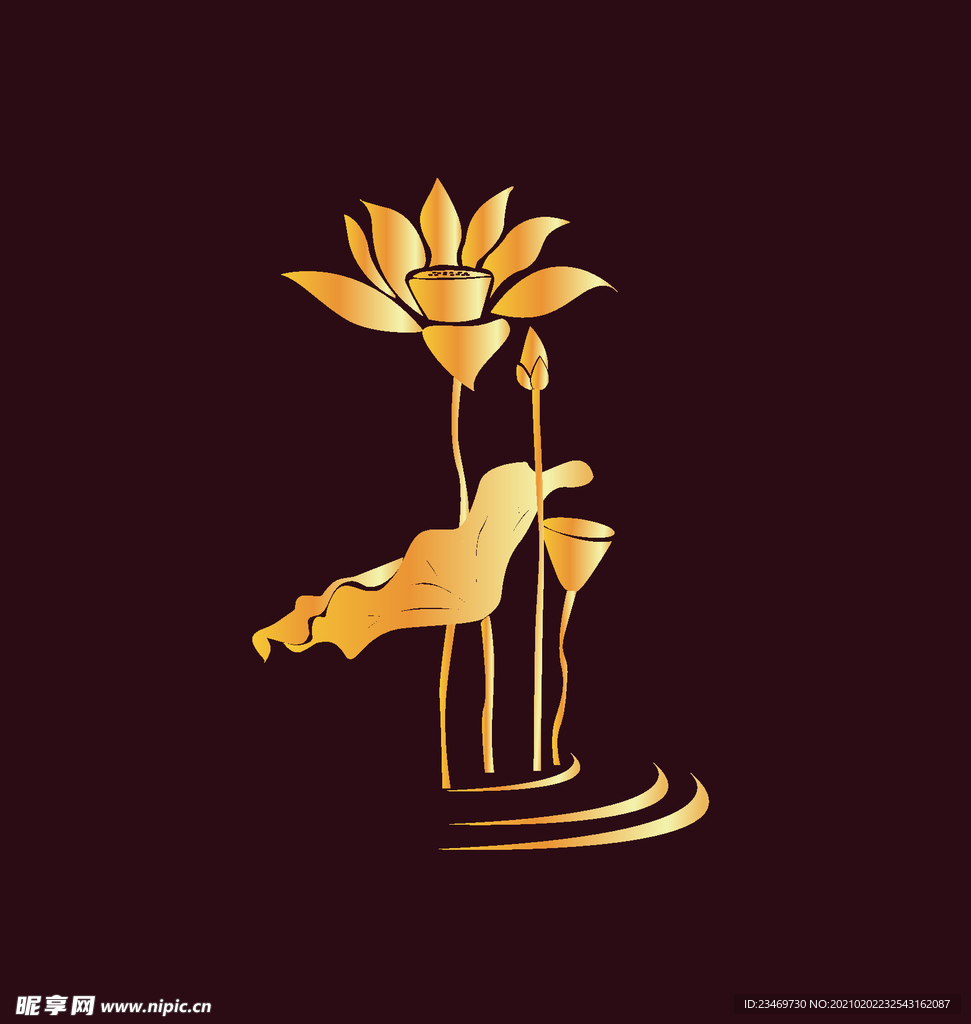 荷花