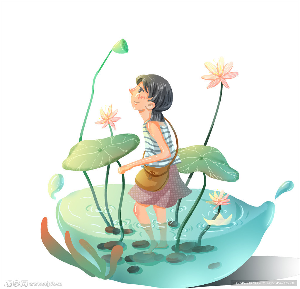 荷花