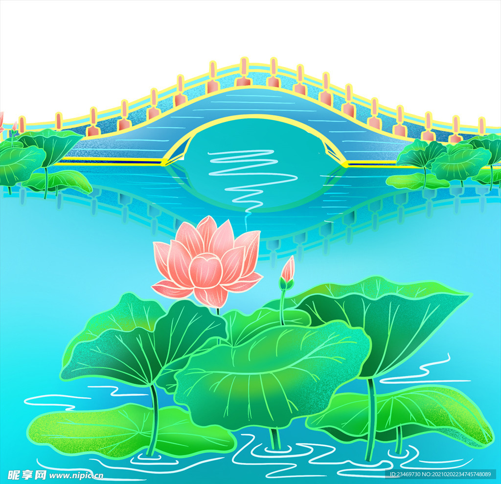 荷花