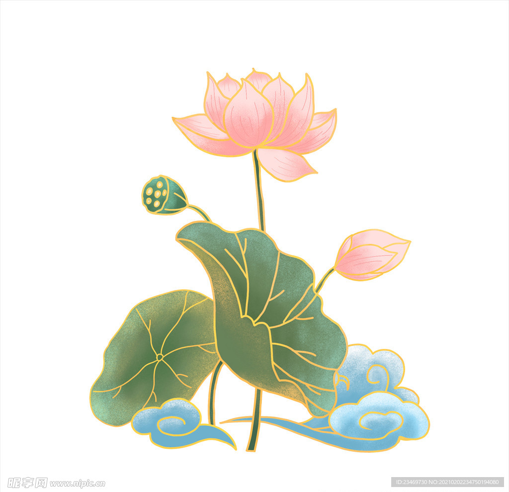 荷花
