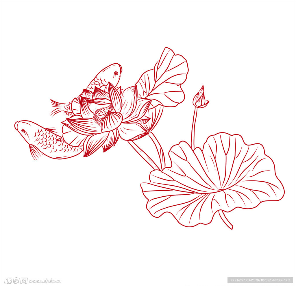荷花