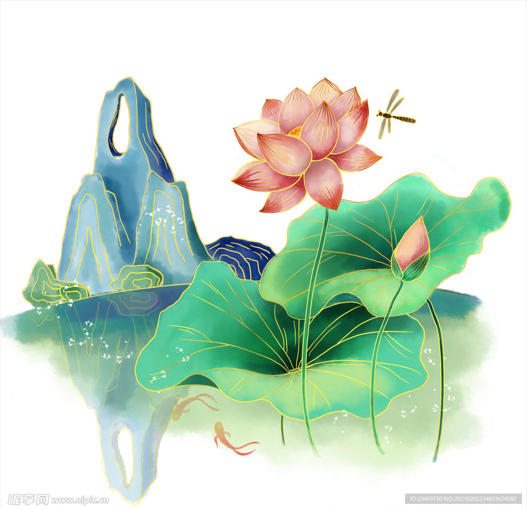 荷花