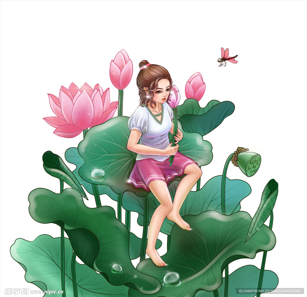 荷花