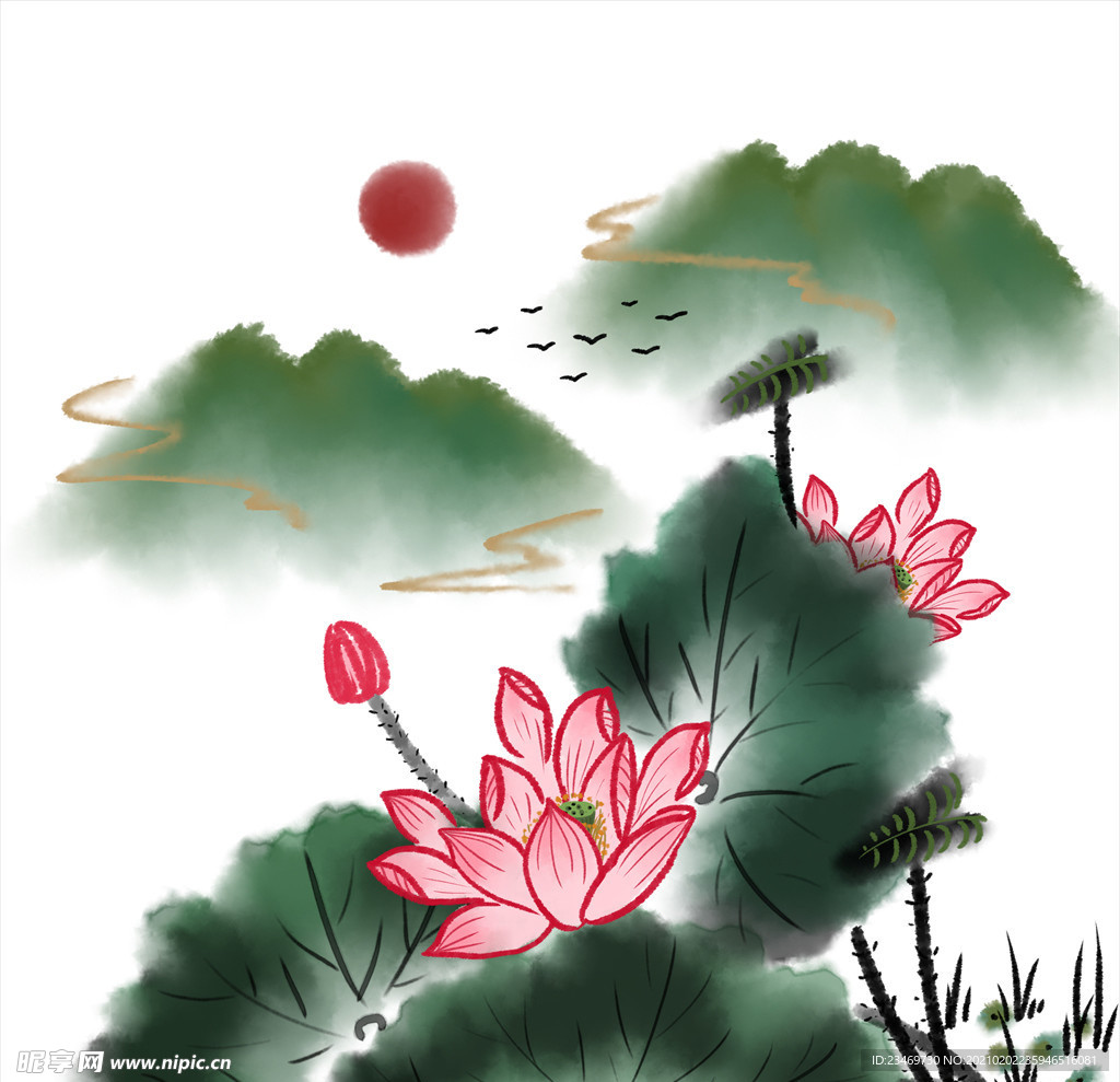 荷花