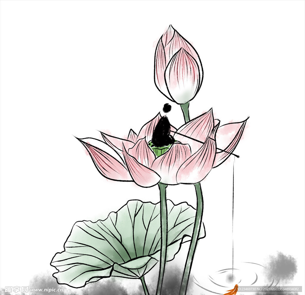 荷花