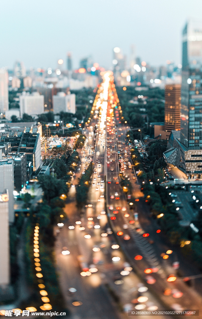 城市