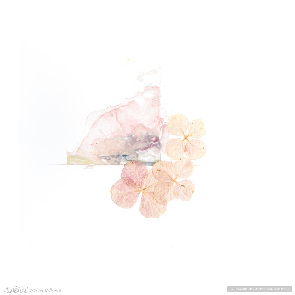花卉
