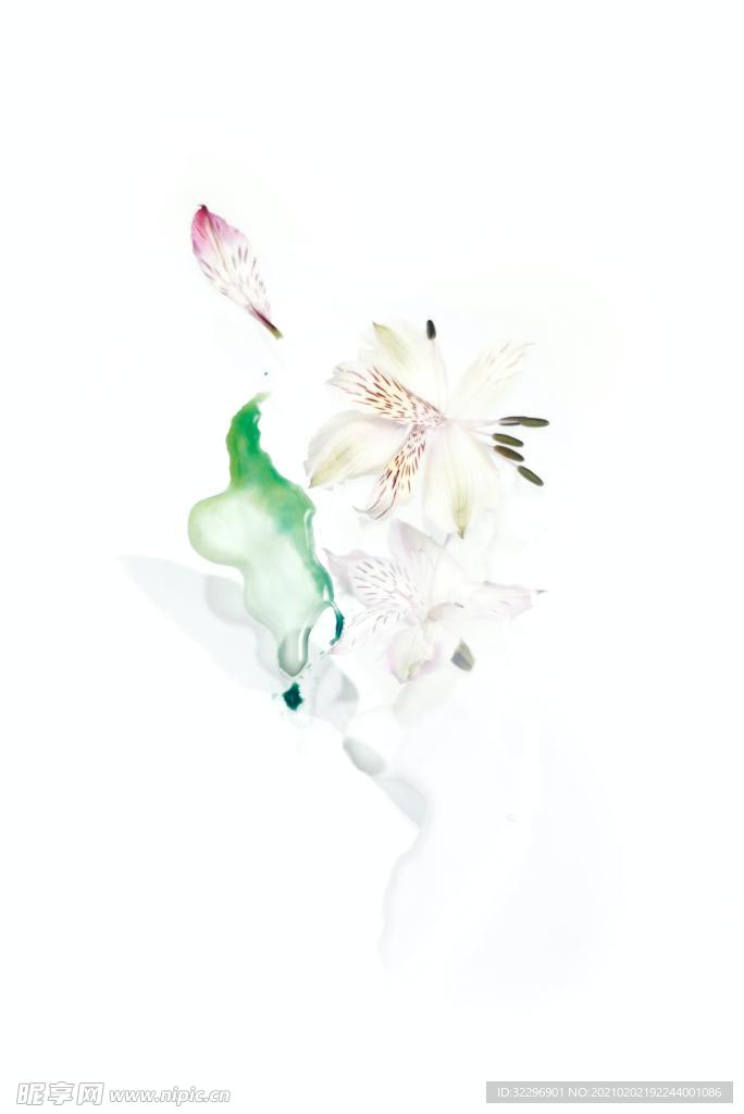 花卉