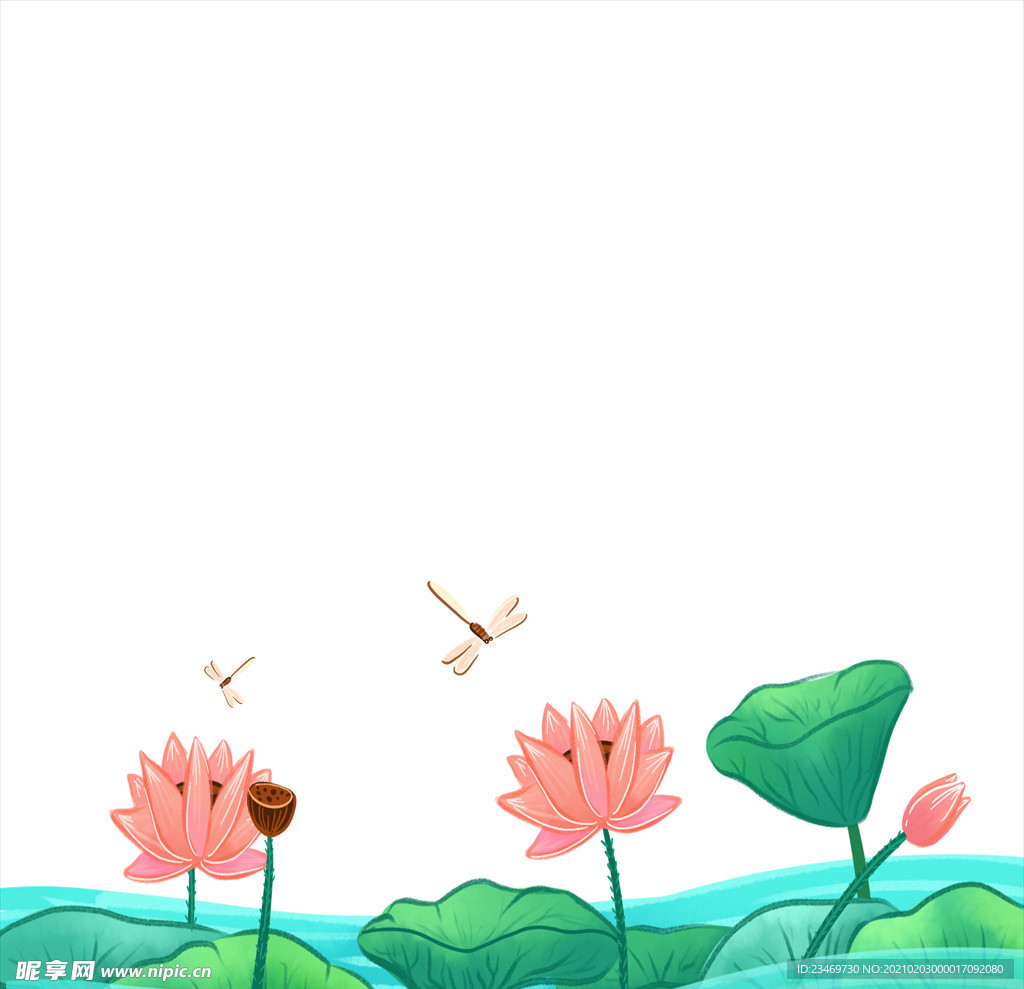 荷花
