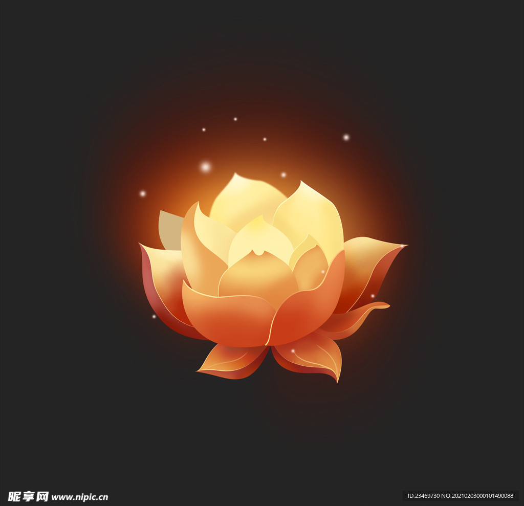 荷花