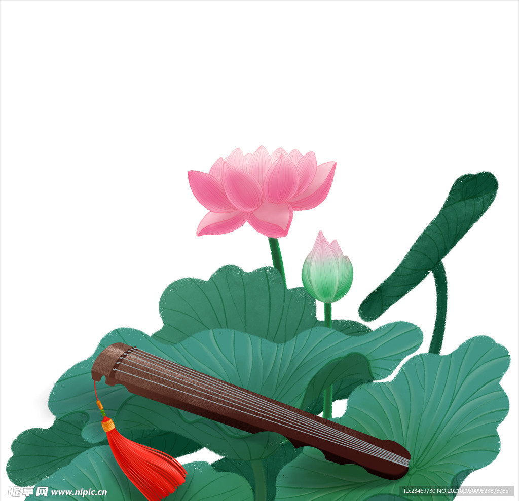 荷花