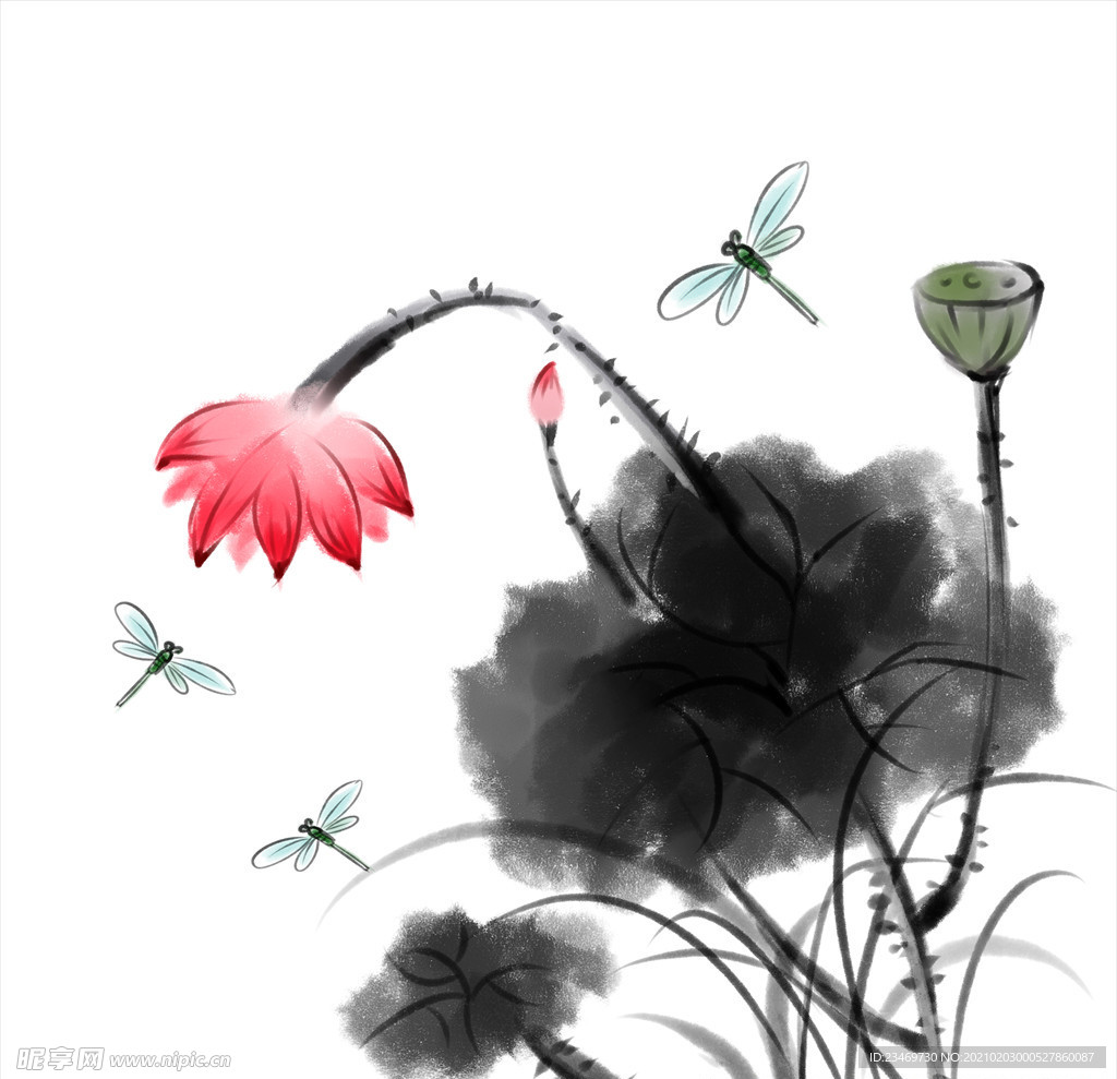 荷花