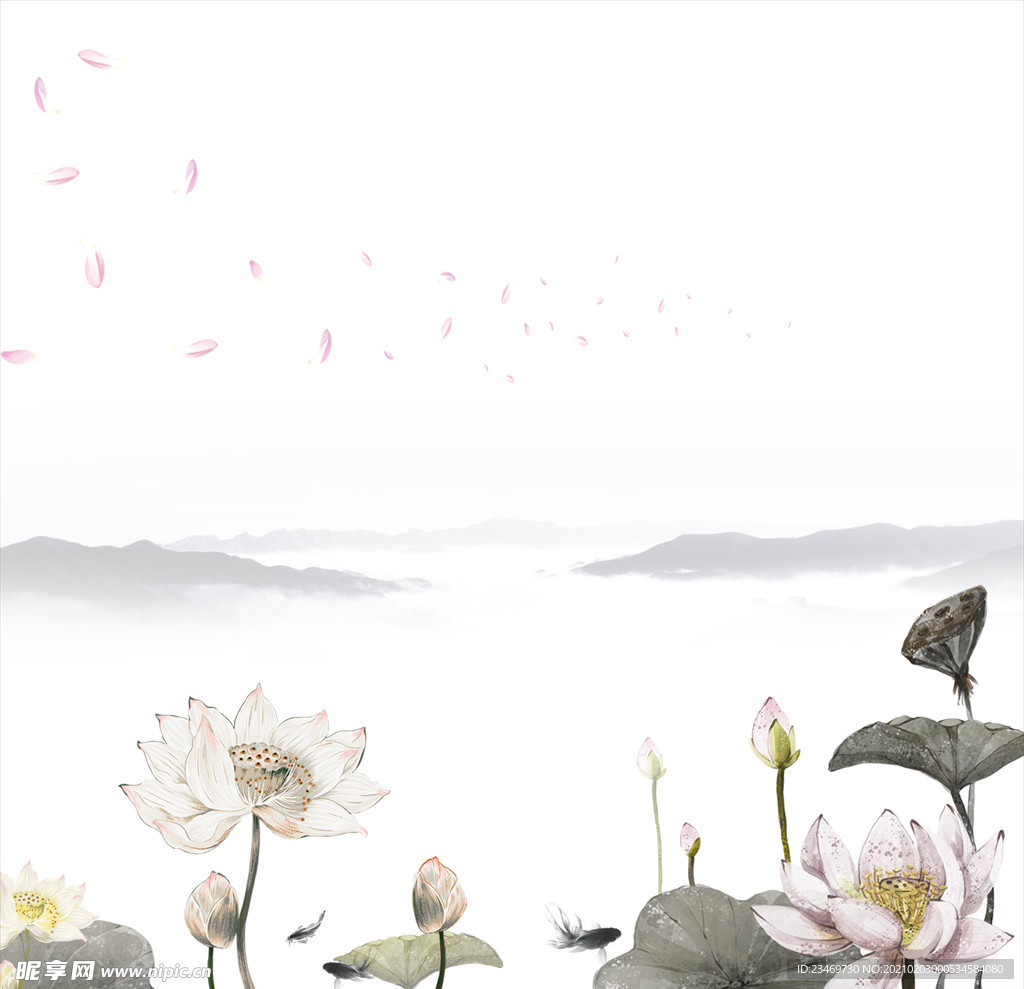 荷花