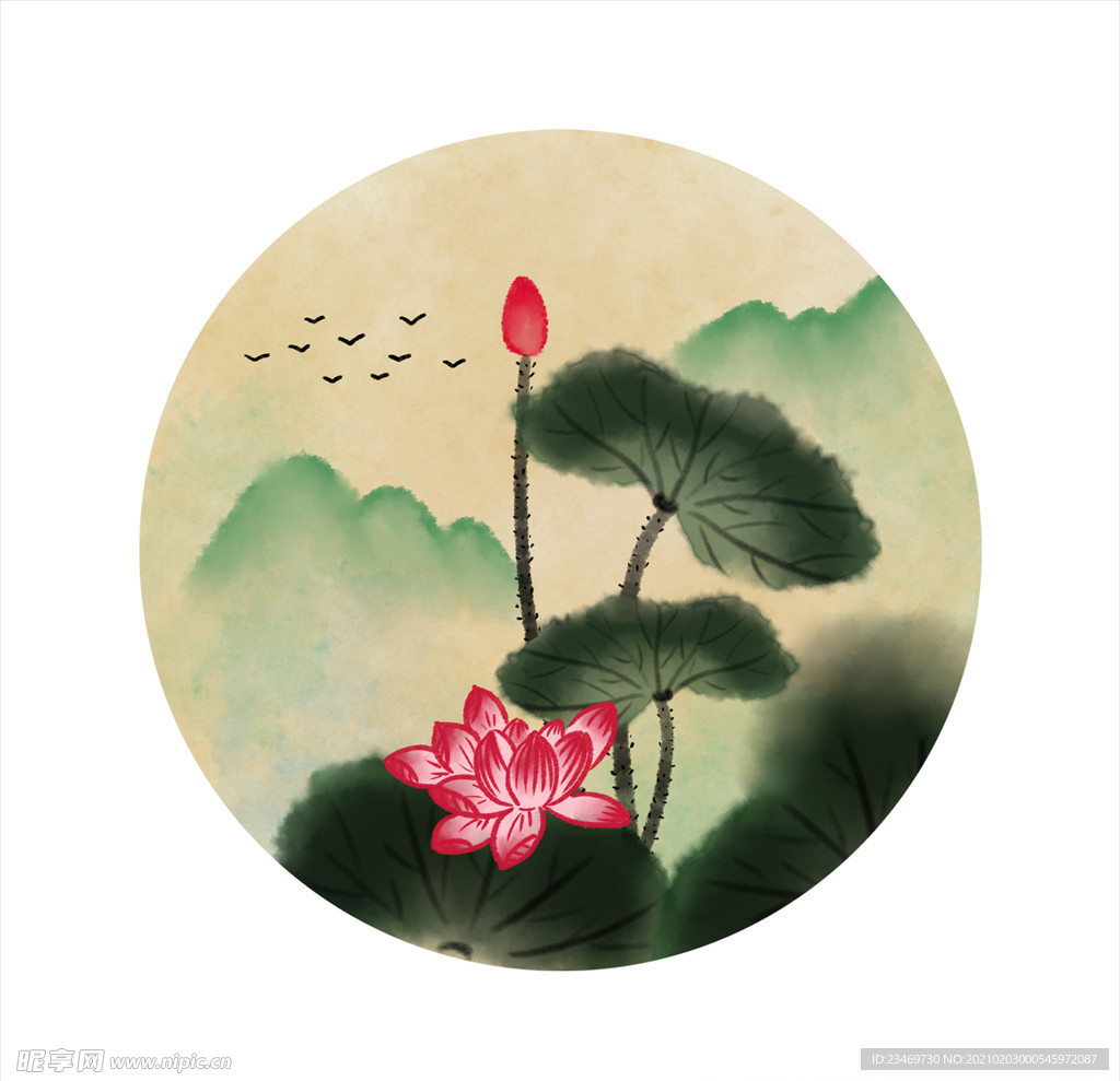 荷花