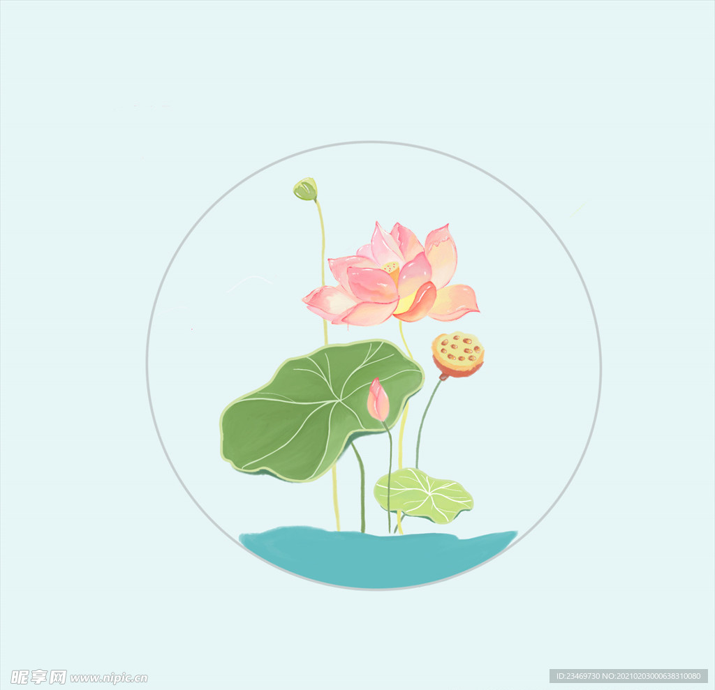 荷花