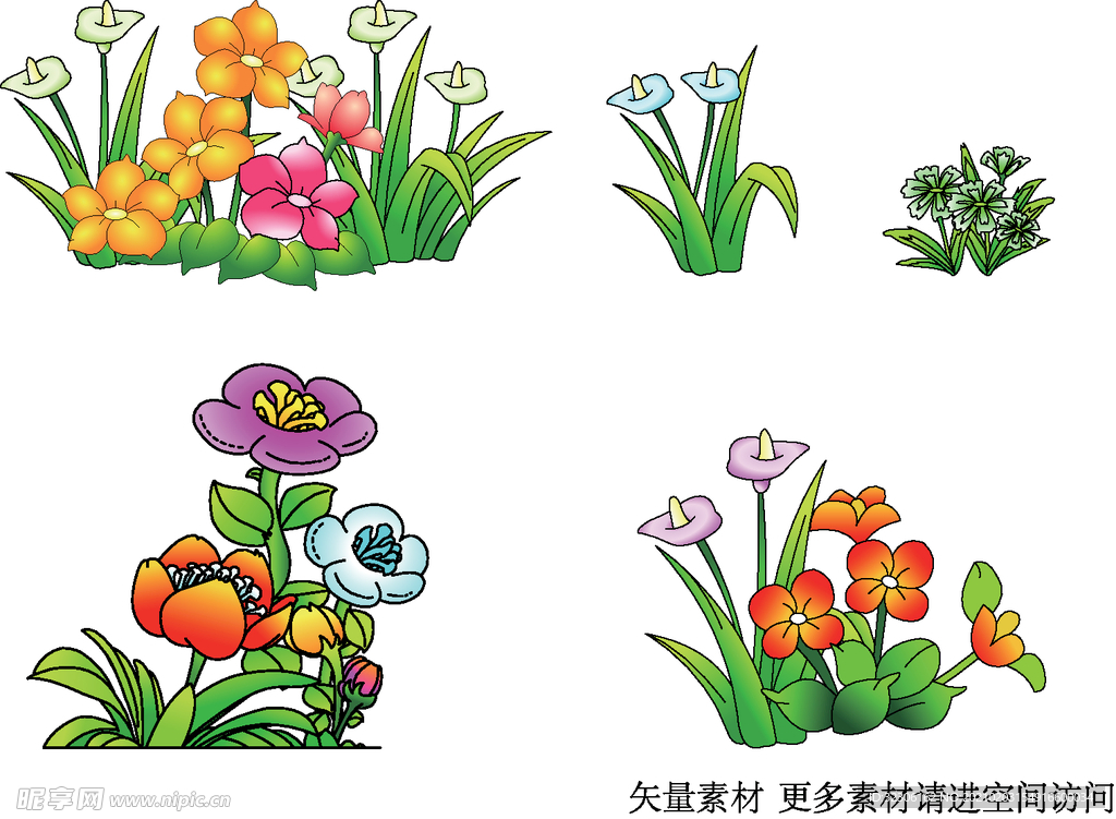 花草 花朵