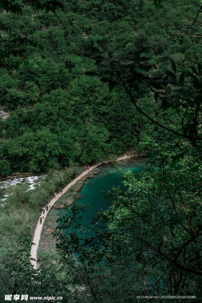 绿色的山间小路