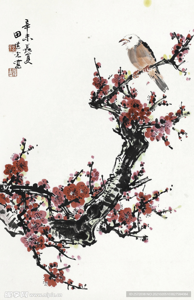 福寿白头