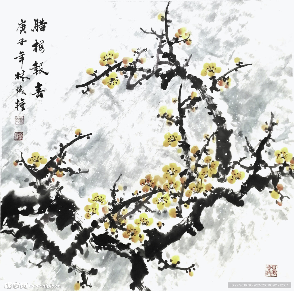 腊梅报春
