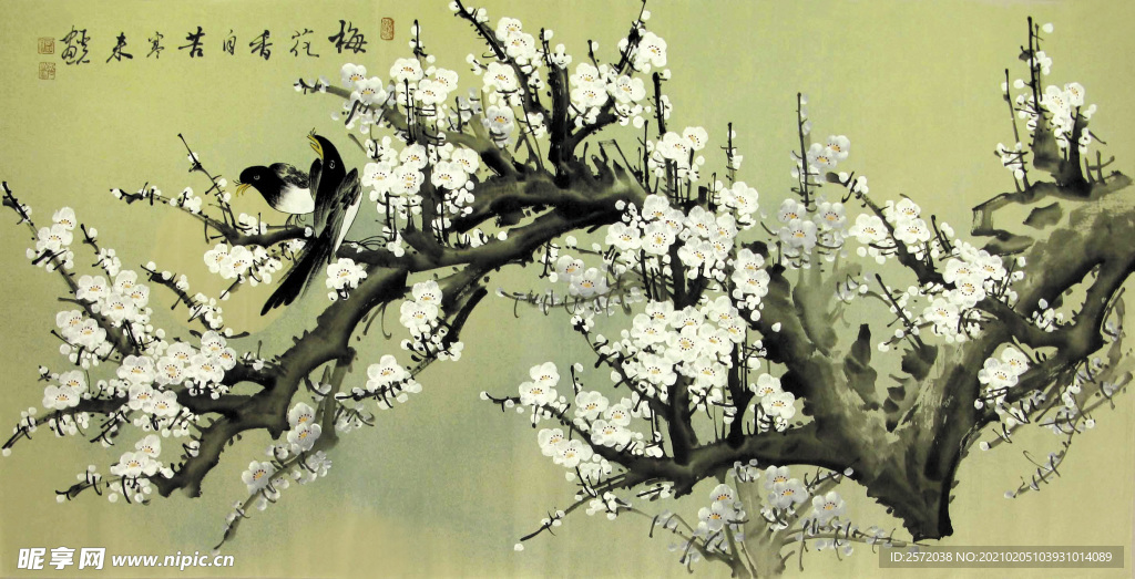 梅花香自苦寒来