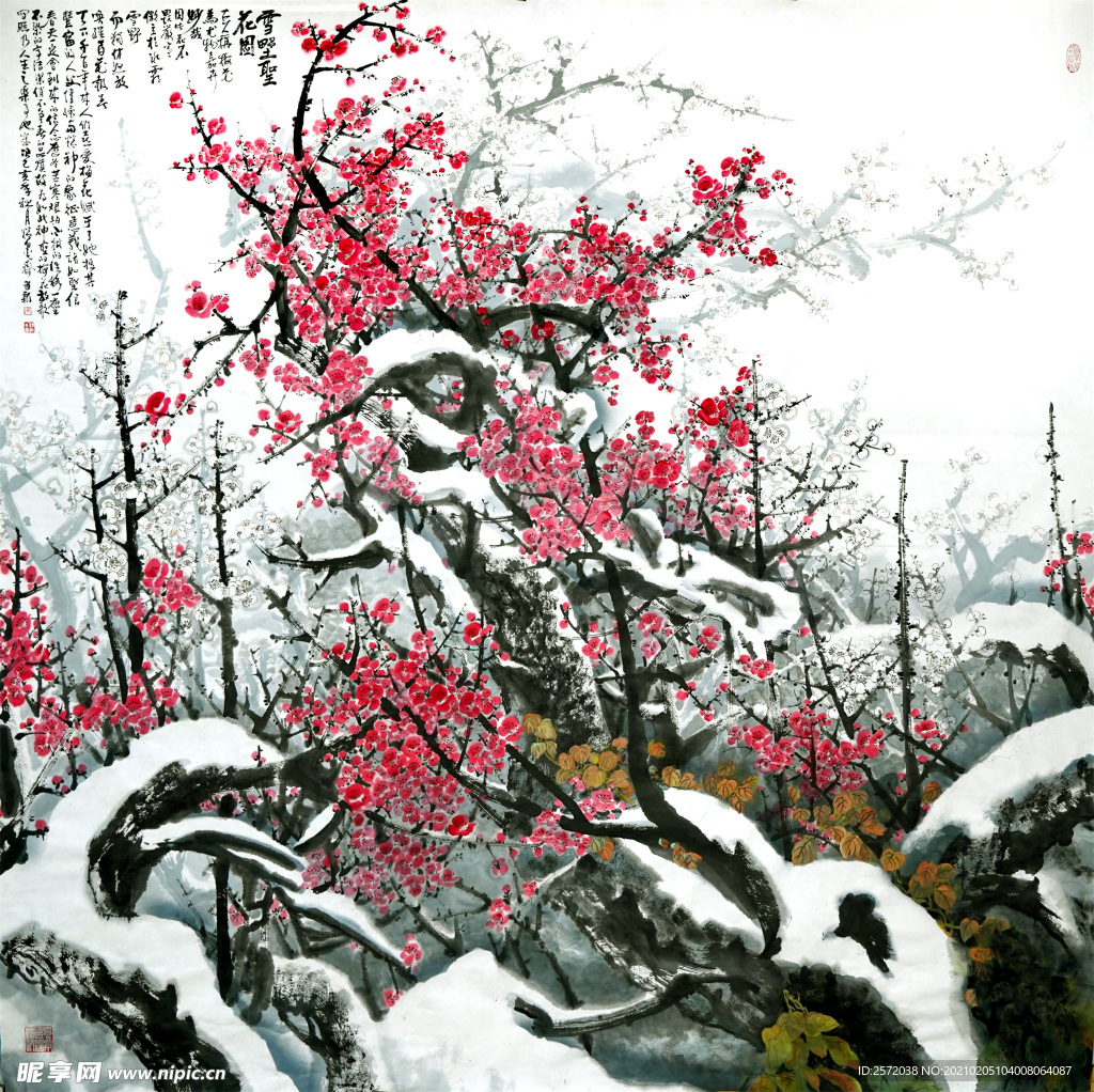 雪野听花