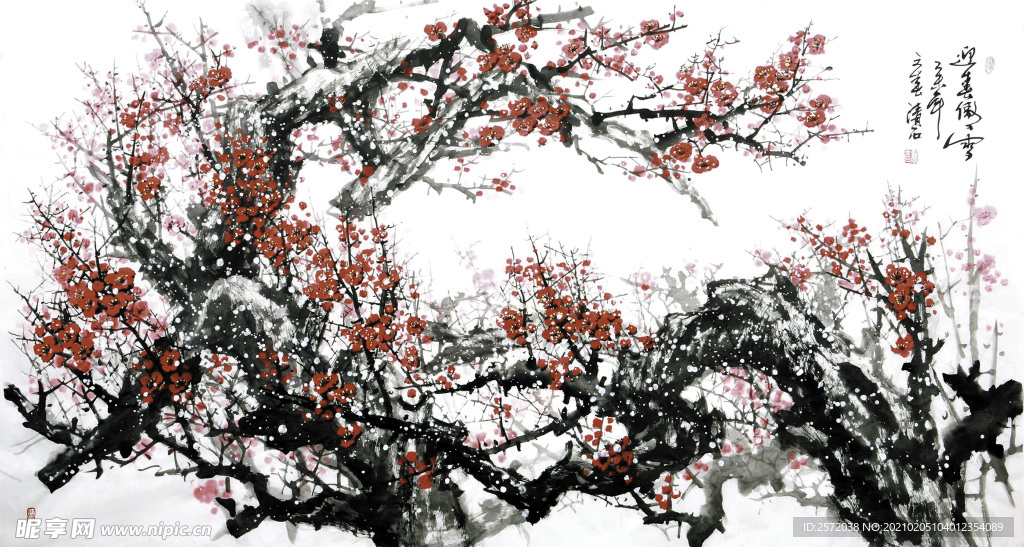 迎春傲雪