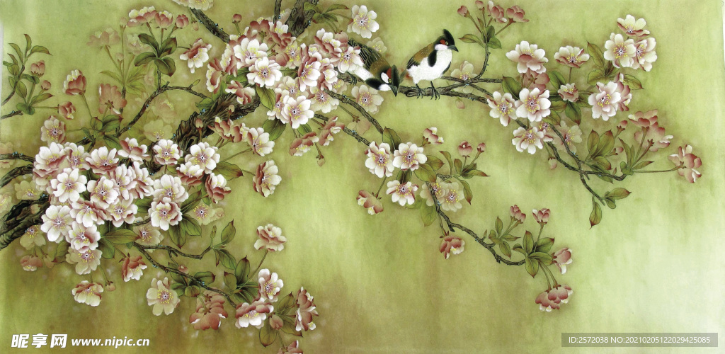 春花艳