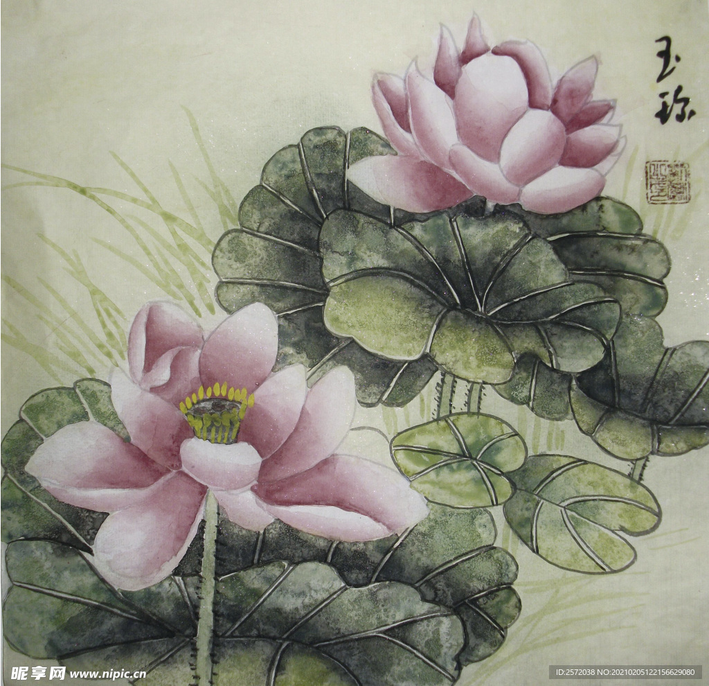 荷花图