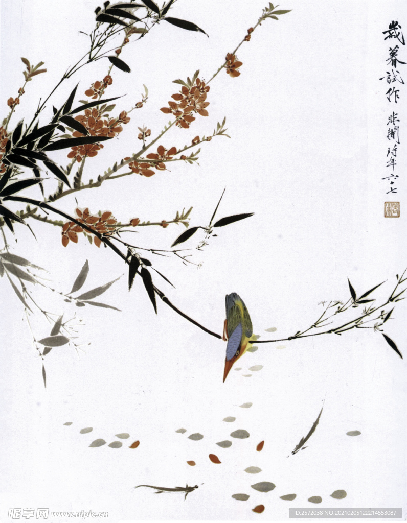花鸟小品
