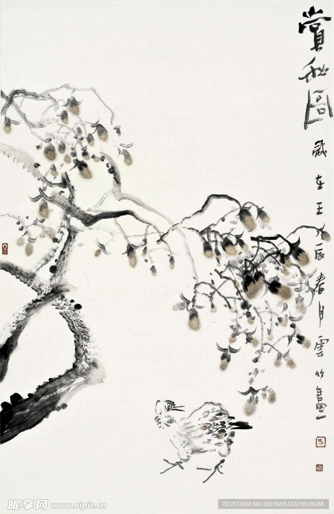 花鸟小品