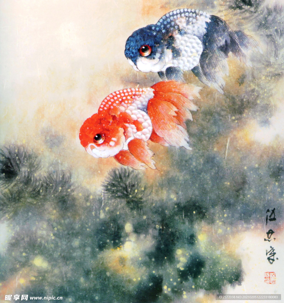 金鱼图
