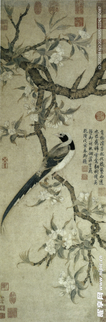 梨花山鹊图