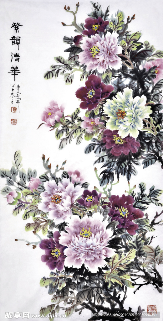 紫韵清华