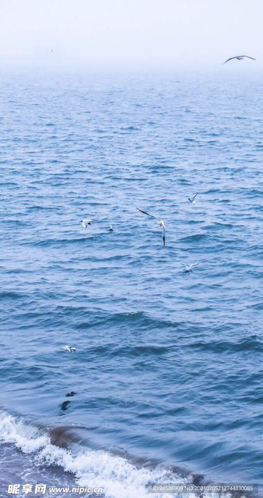 湖江海
