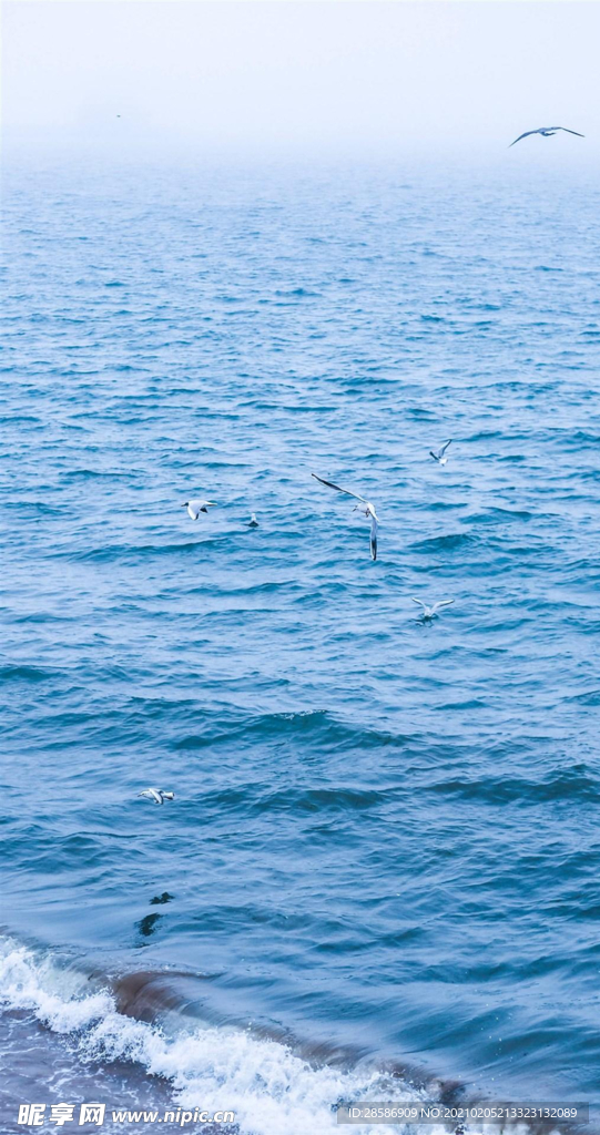 湖江海