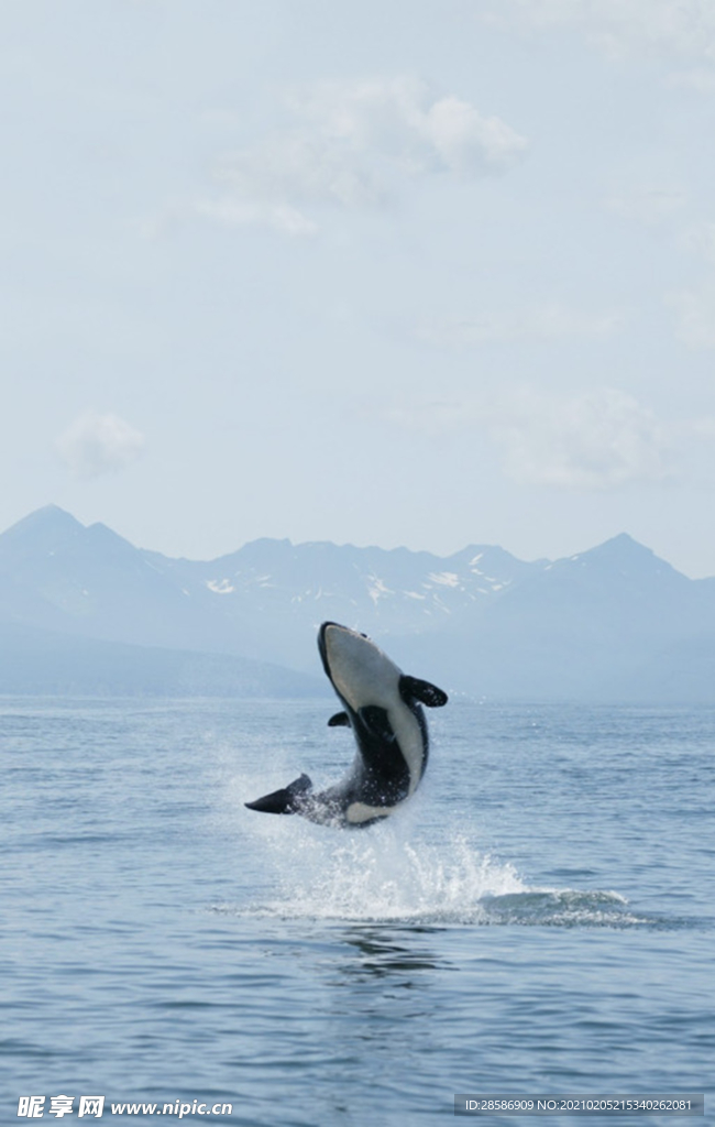 湖江海