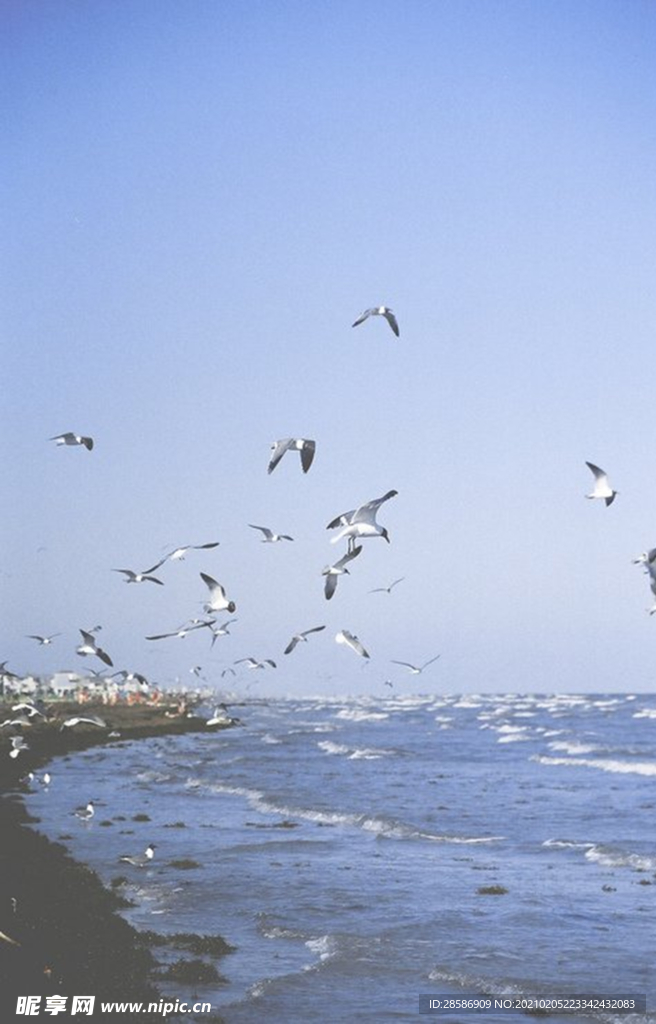 湖江海