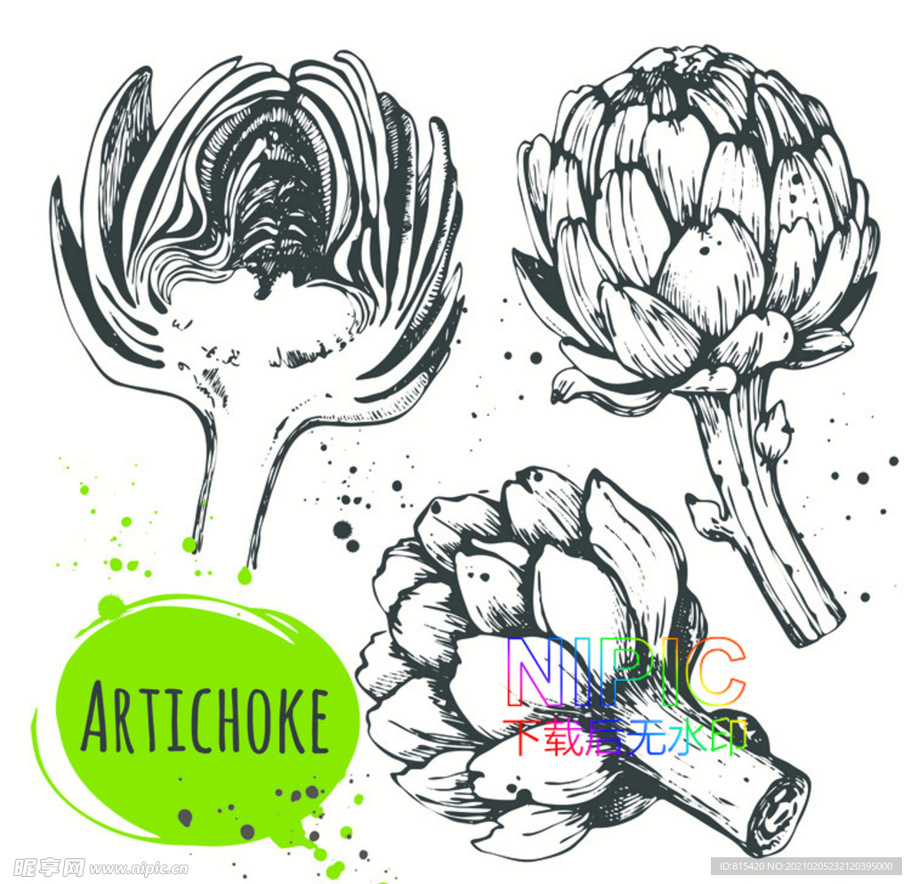 花苞eps素材文件