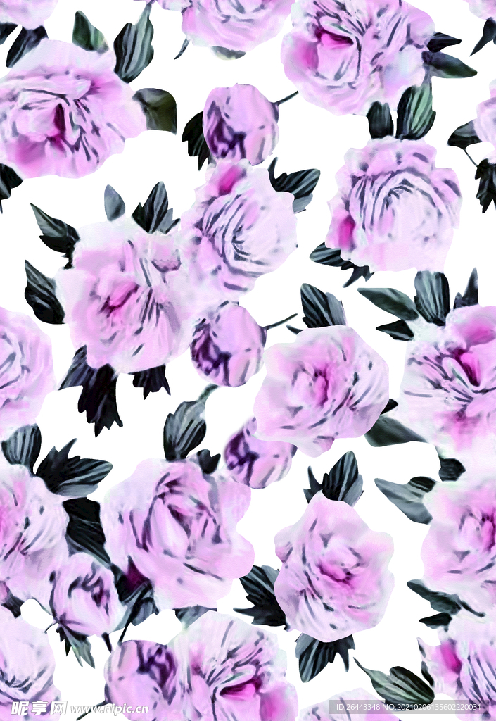 玫瑰花