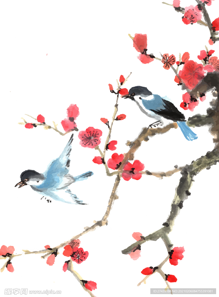 鸟