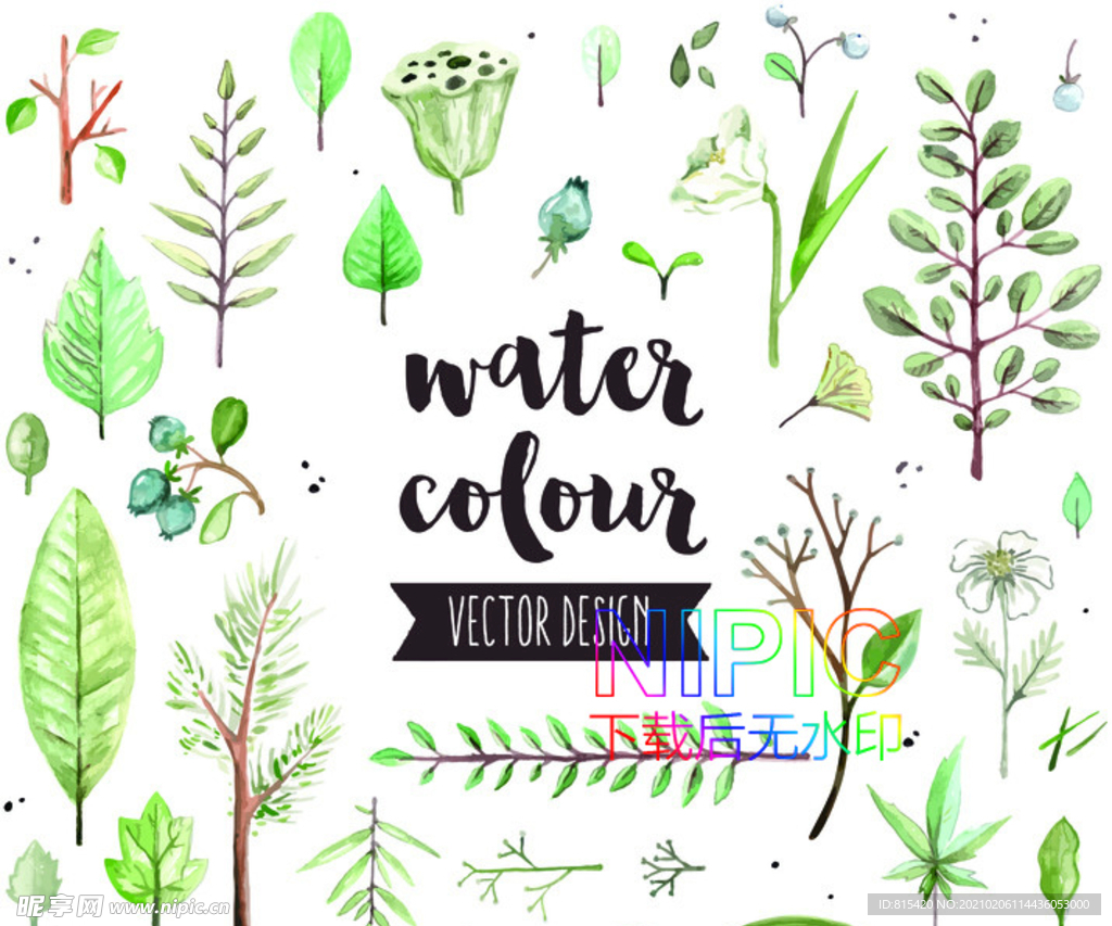 热带树叶eps模版