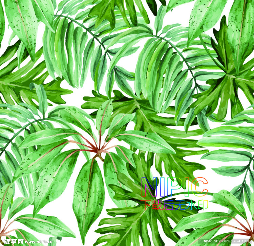 衣服图案eps素材文件