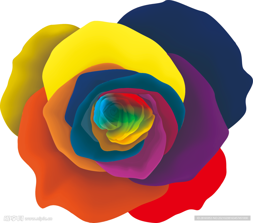 彩色玫瑰 唯美 素材  花卉