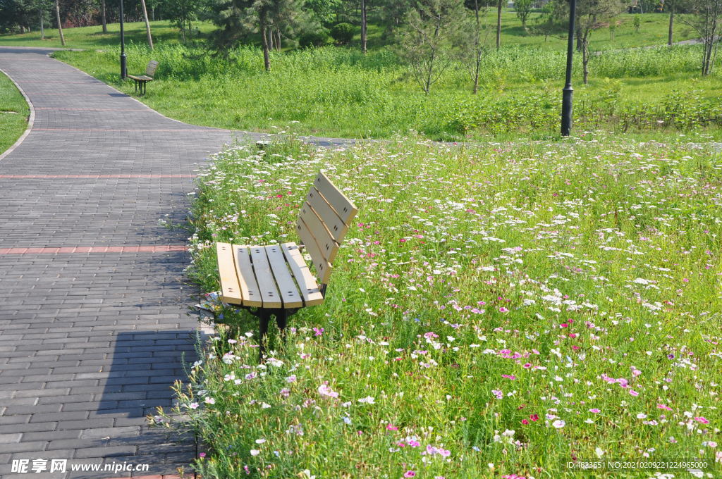 草花组合的景观效果