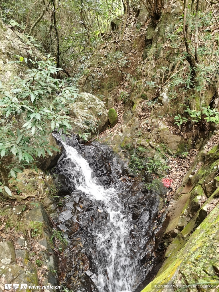 森林流水