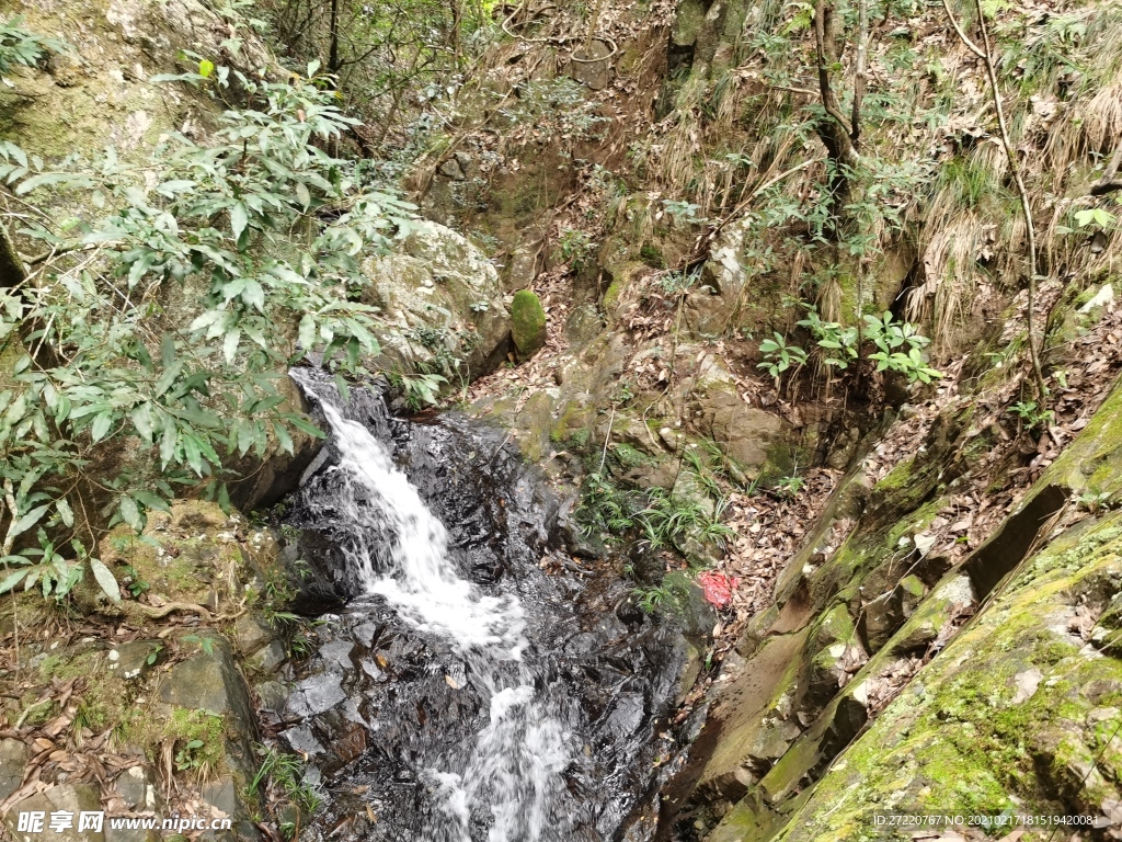 森林潺潺流水