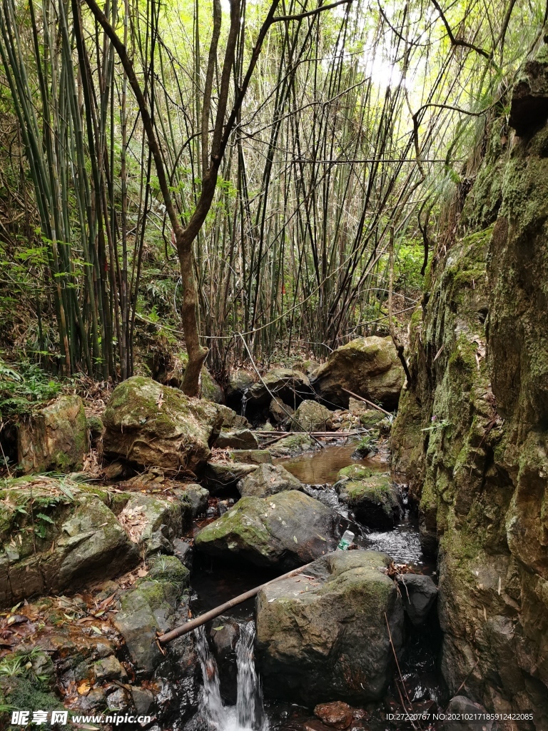 山林里的流水