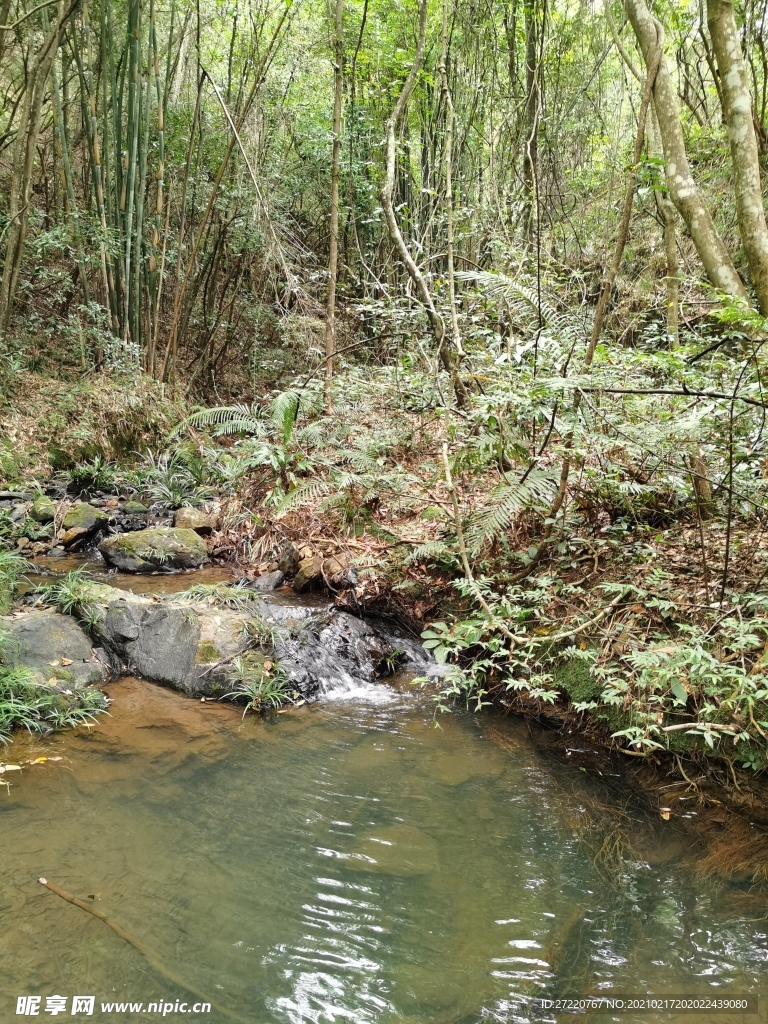 山林 溪水